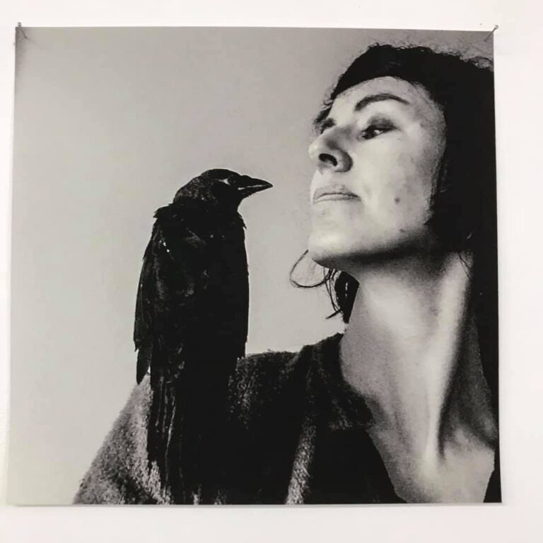 ‘Birds Watching’ project, 2019 ‘Birds Watching’ project, 2019