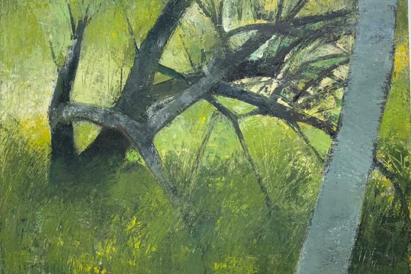 Fallen Apple Tree, Oil On Board, 61 X 76 Cm